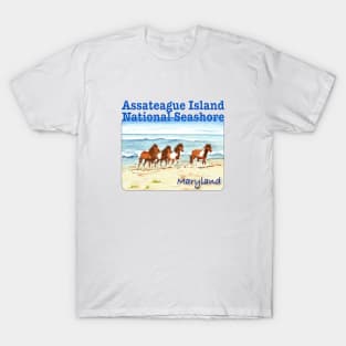 Assateague Island National Seashore T-Shirt